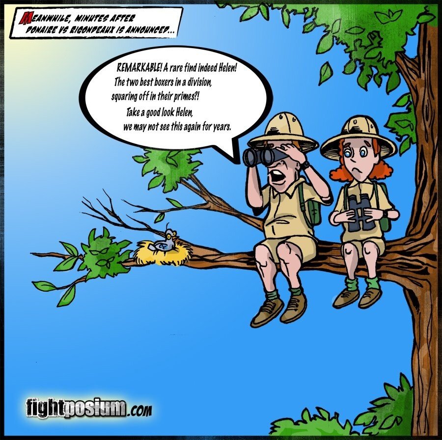 Read more about the article Donaire vs Rigondeaux: A Rare fight Indeed!